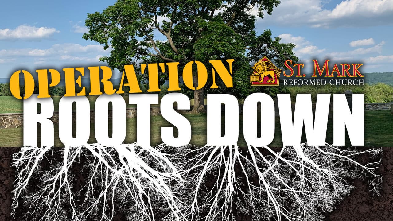 Operation Roots Down banner
